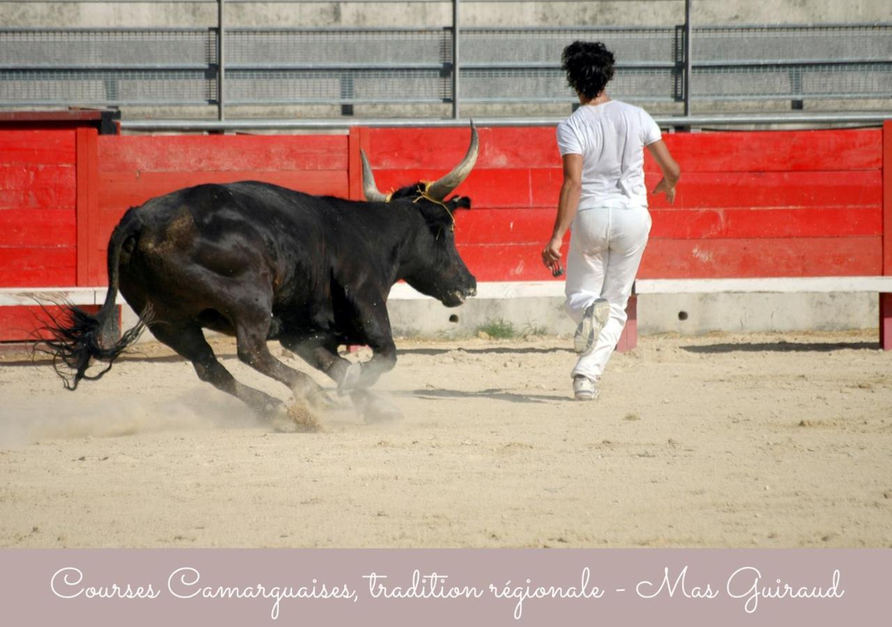 Mas Guiraud, Le Gaspardoux Beaucaire  Buitenkant foto